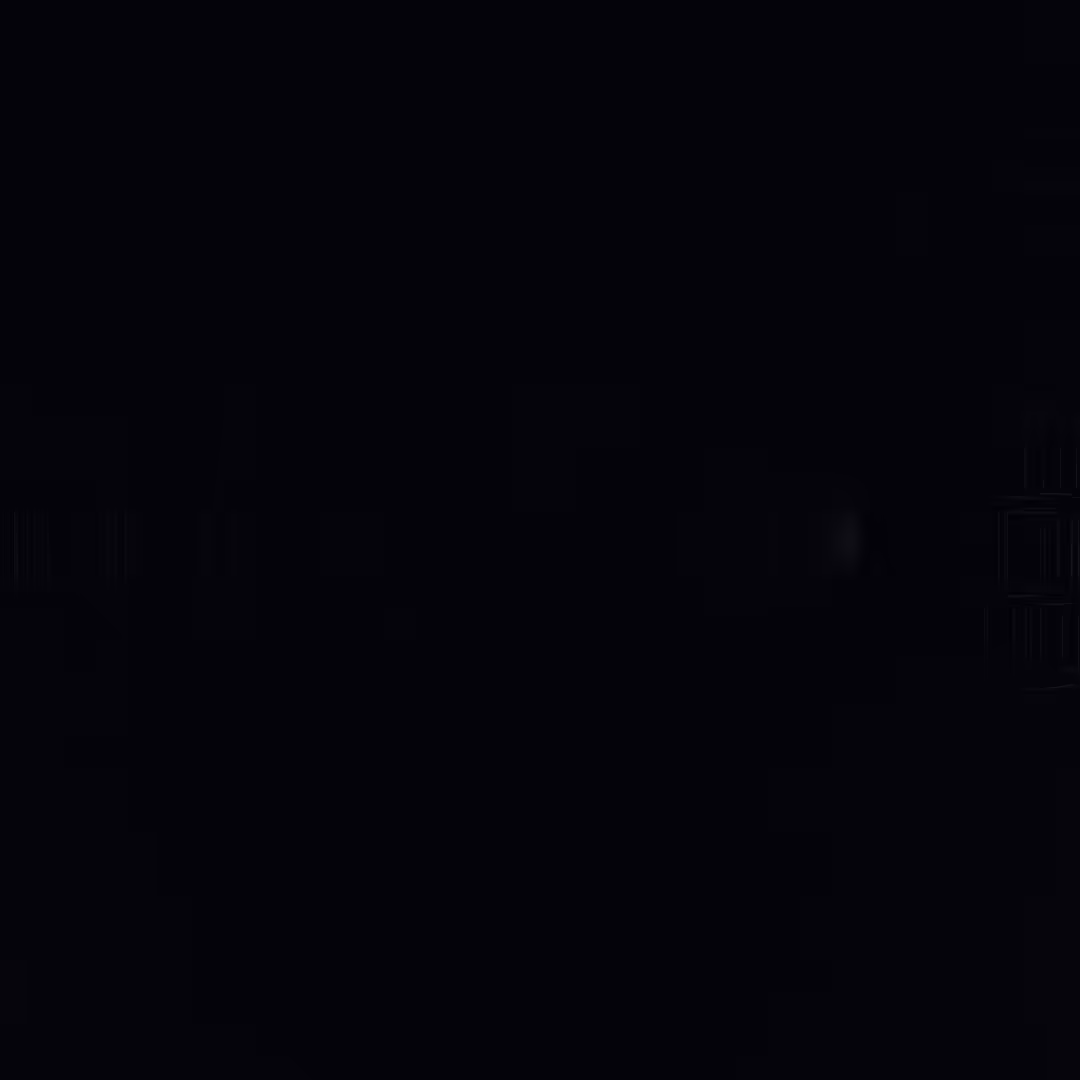 TO THE MOON