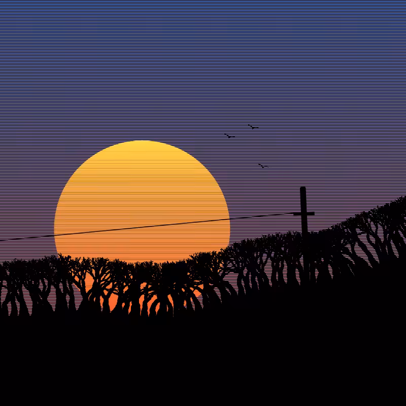Sunset #1