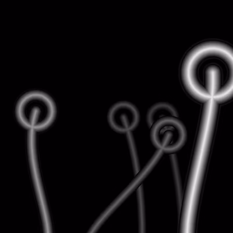 We_O #4