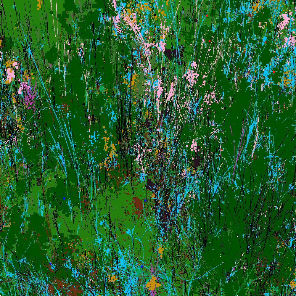 Infinite Garden: 61521 Flowers