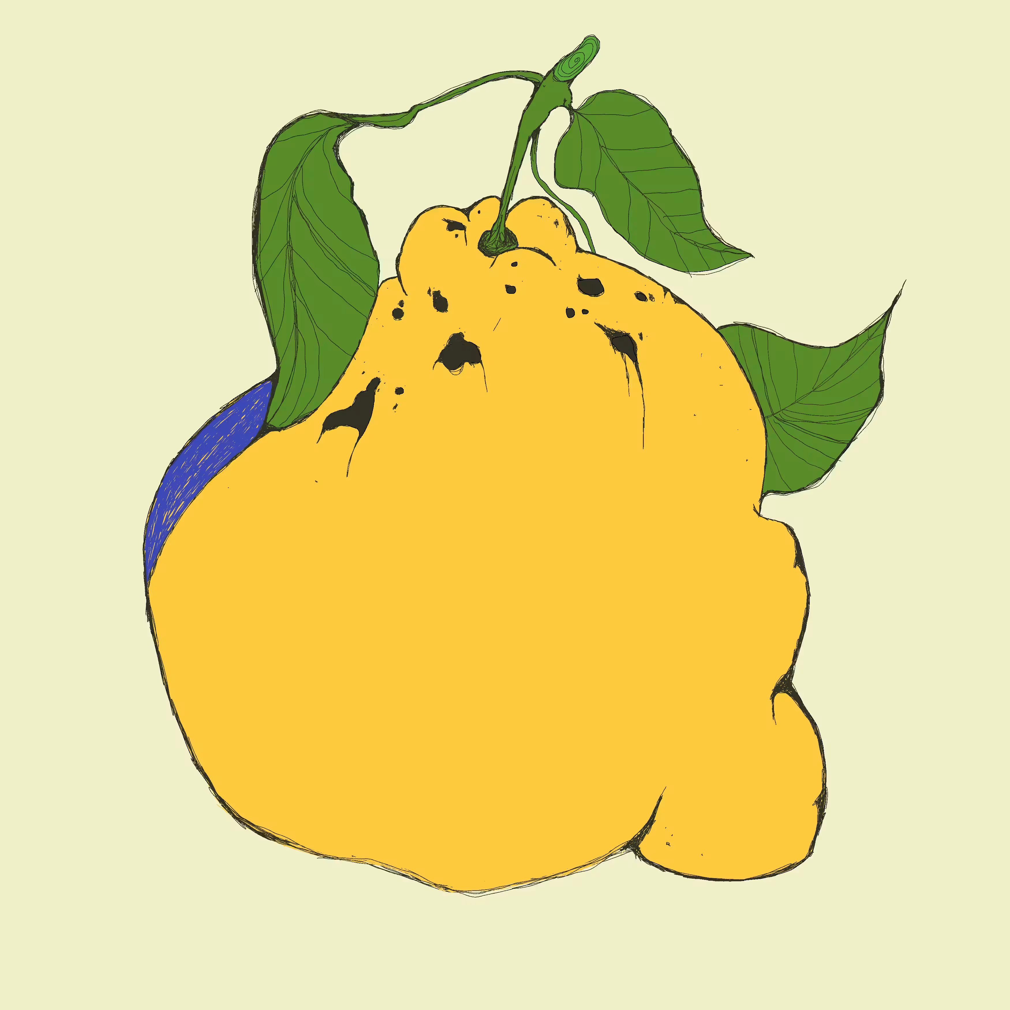 Limón amarillo