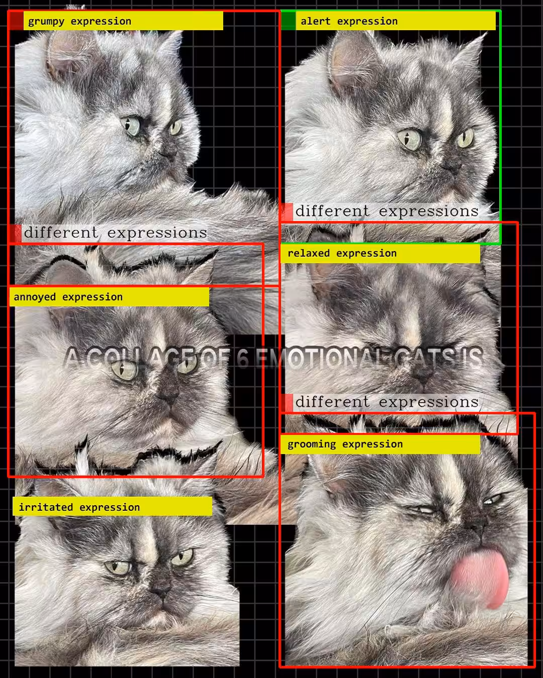 Geoffrey Lillemon - {{We are not ready for the wave of animal translators.}}