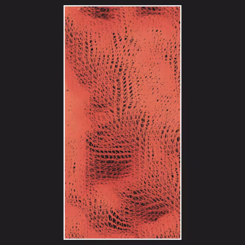 "String" Theory #38