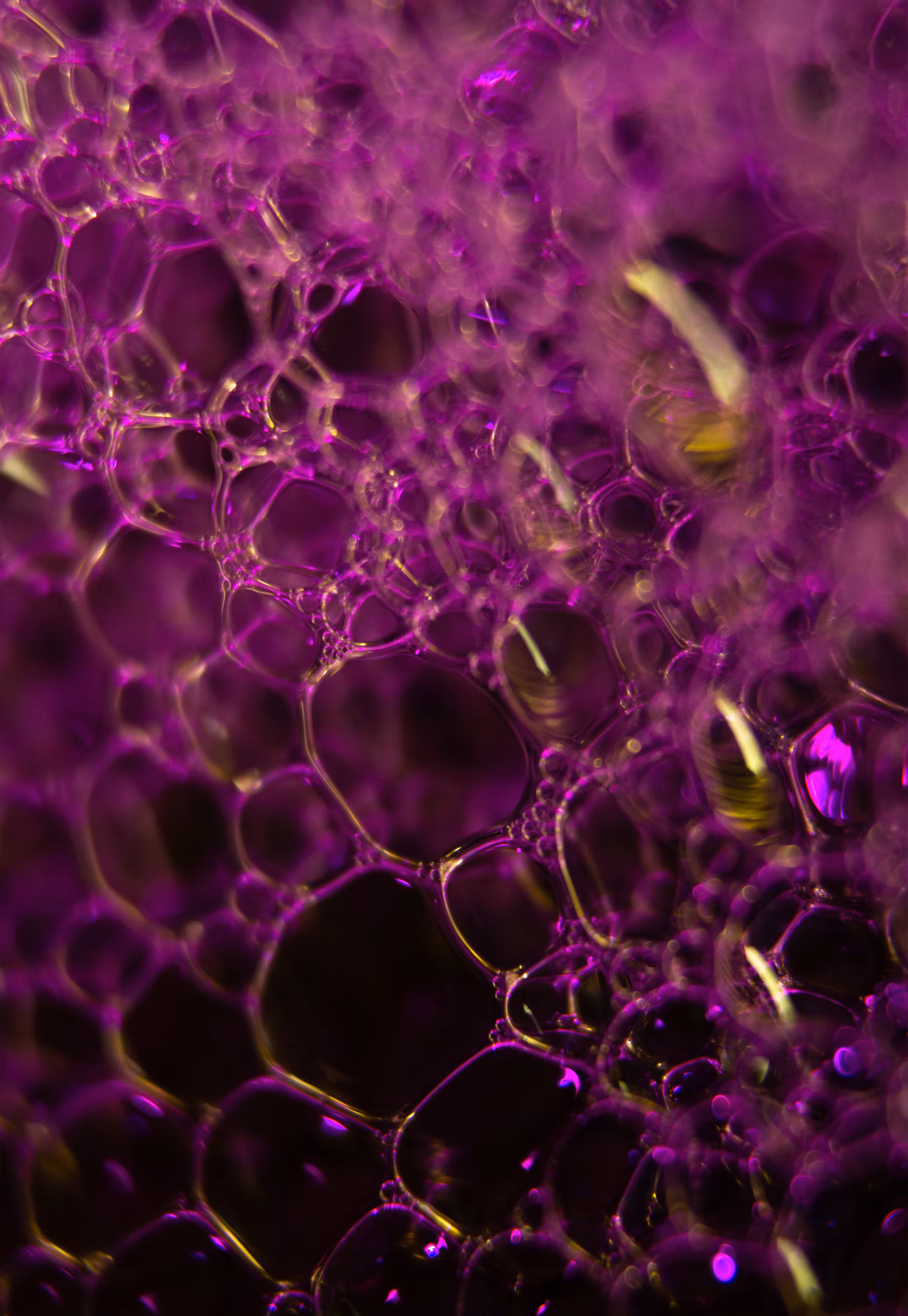 Abstract World of Soap Bubbles: #143 Bubbles
