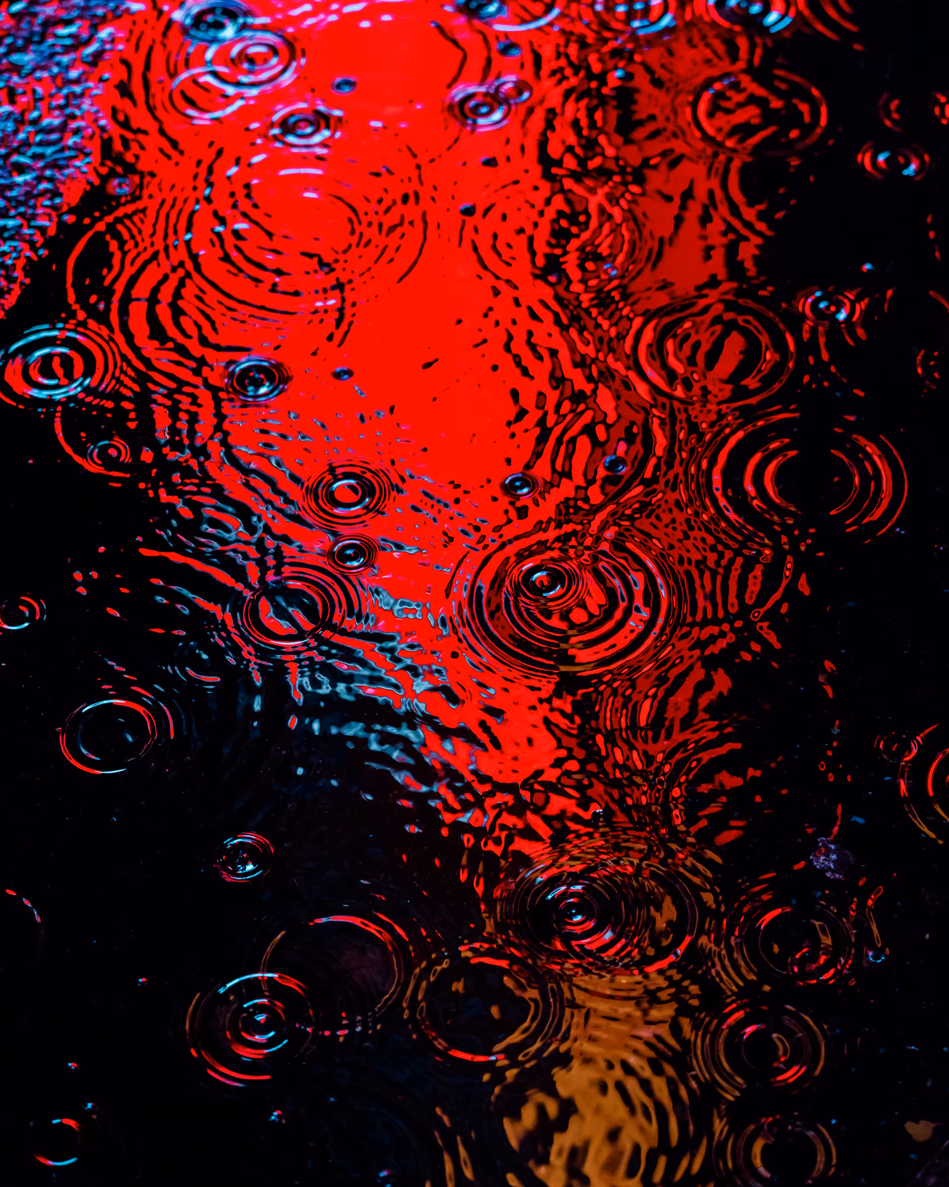DRIP DROP: DRIP #911