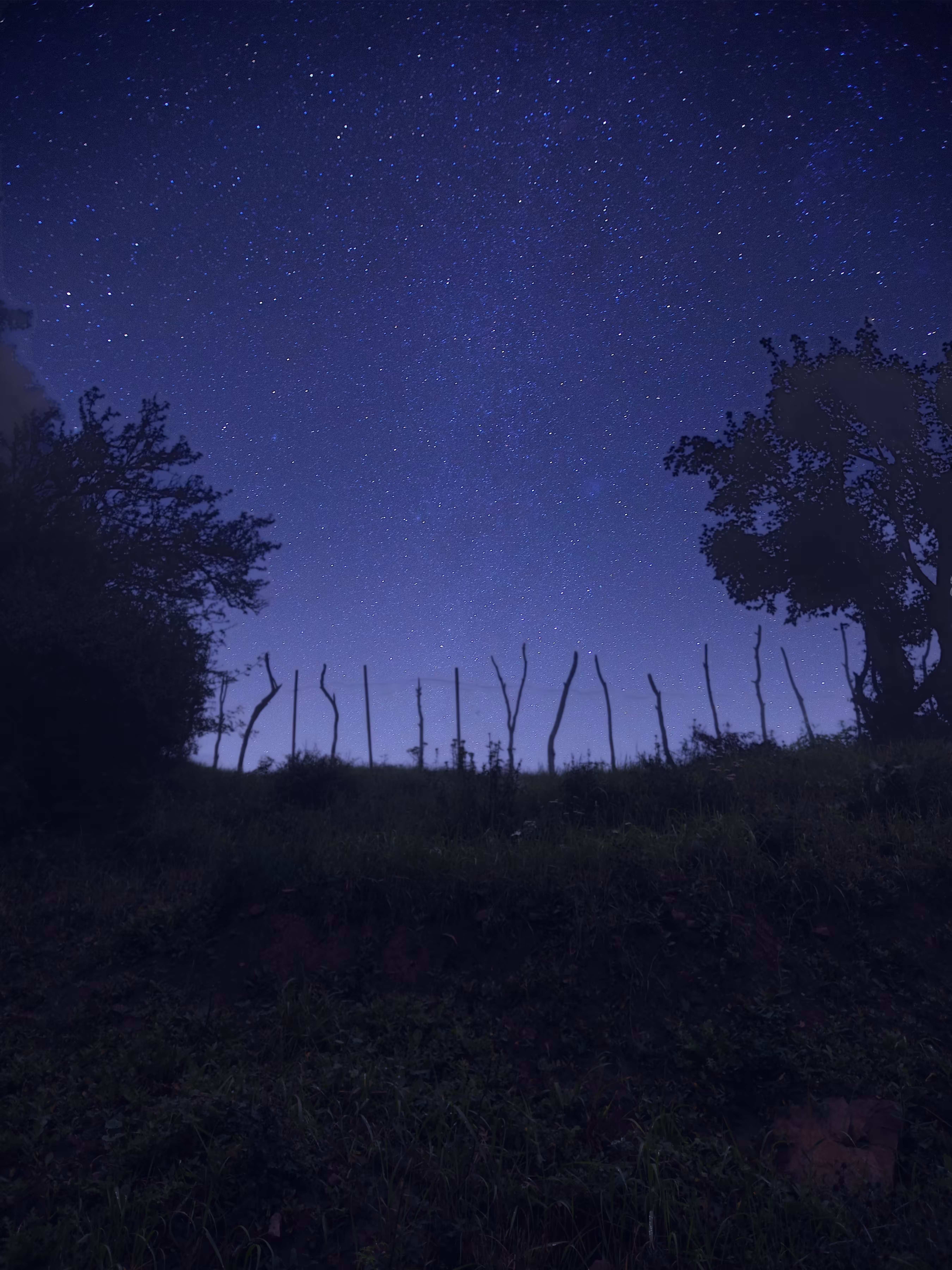 Dreamy night
