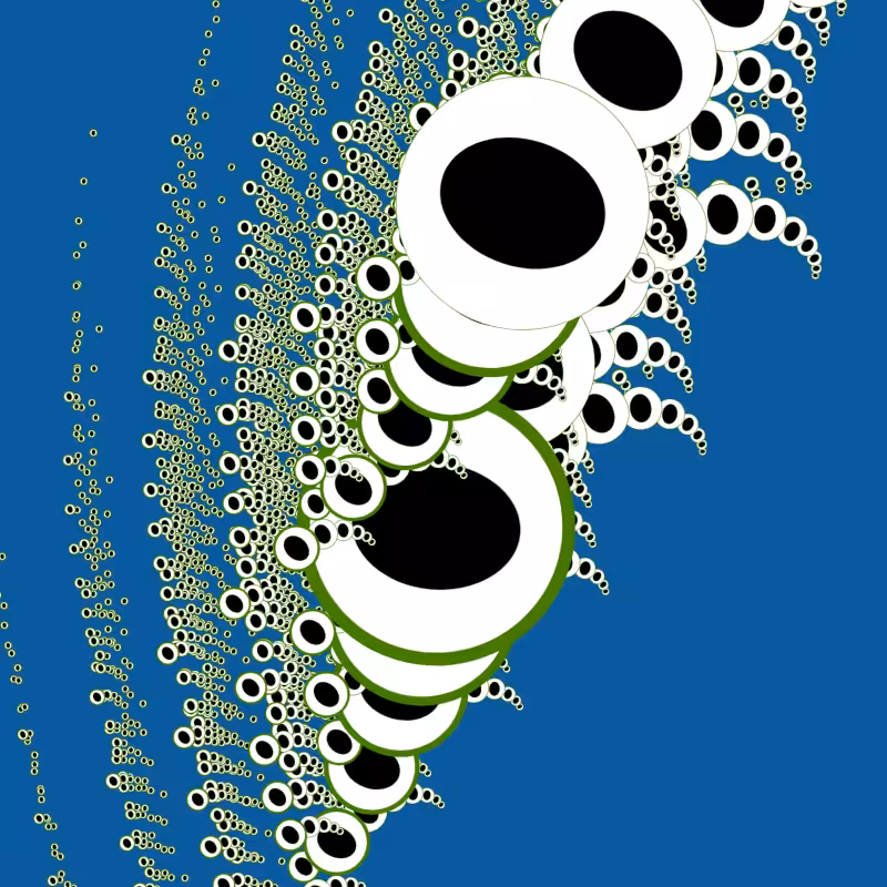 Frog Eggs #2