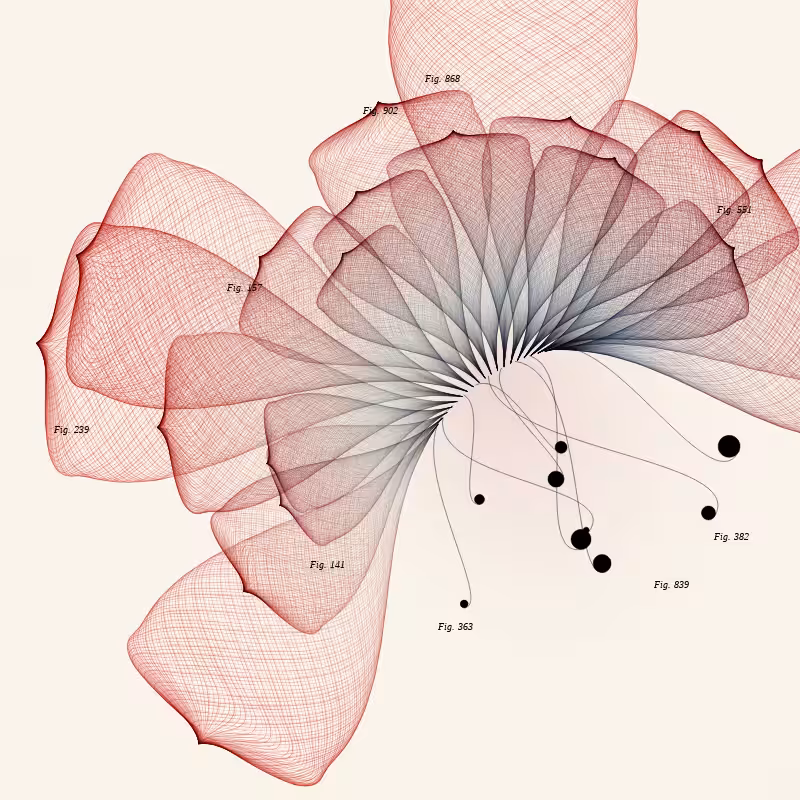 Herbarium #147