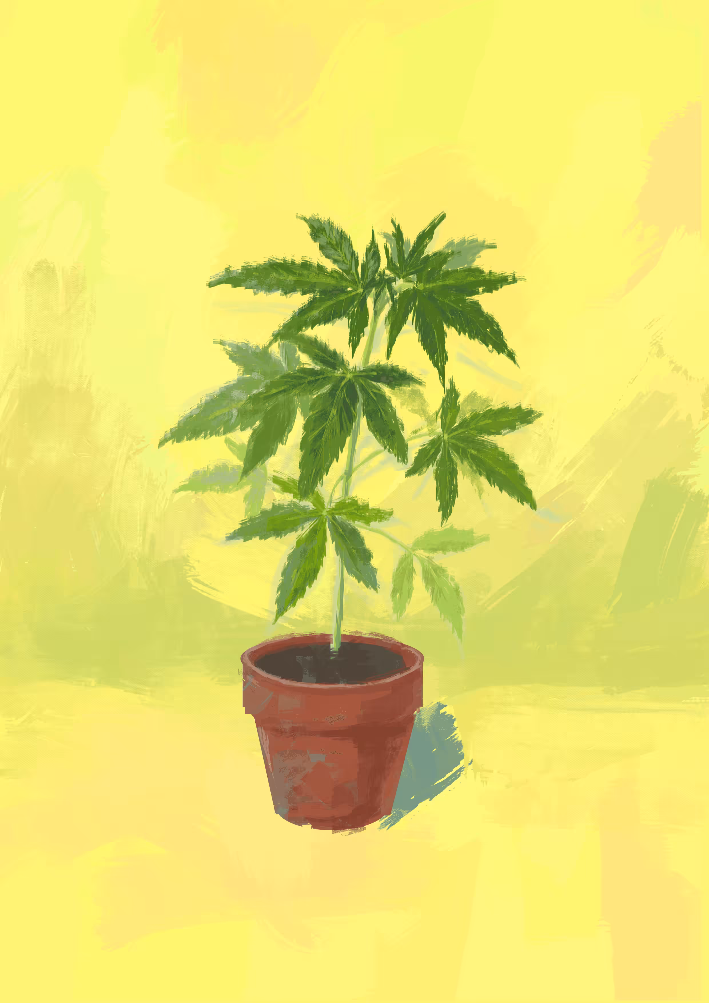 Medicinal Plant
