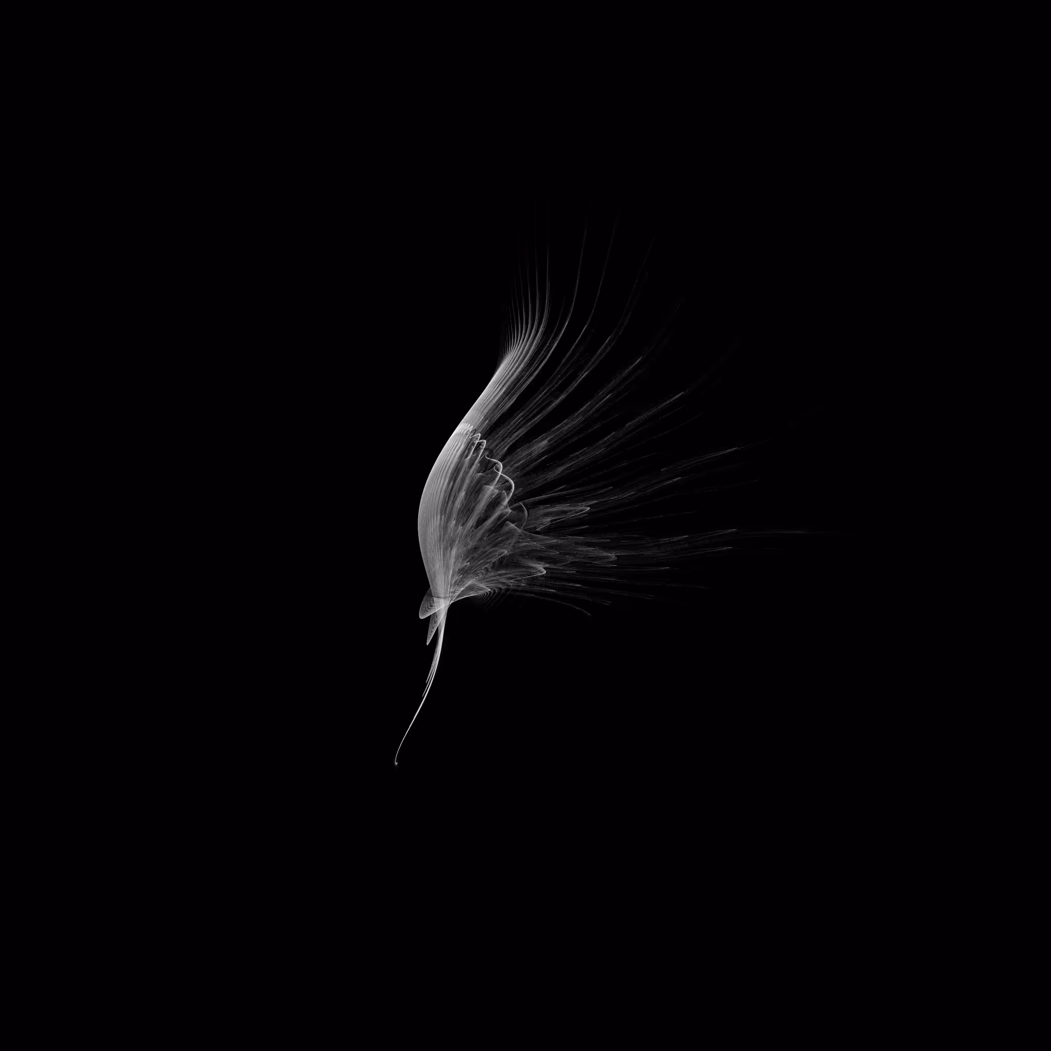 MONO 34