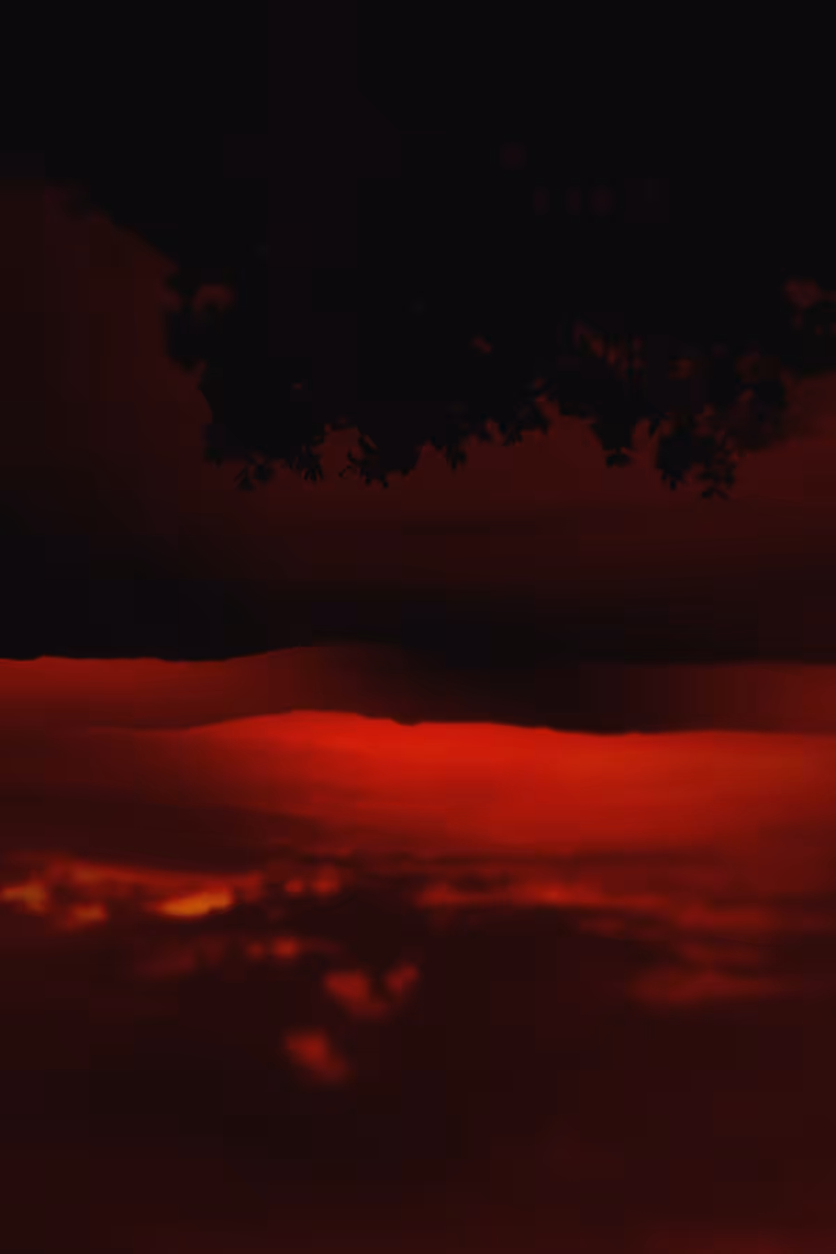 Diaries #30