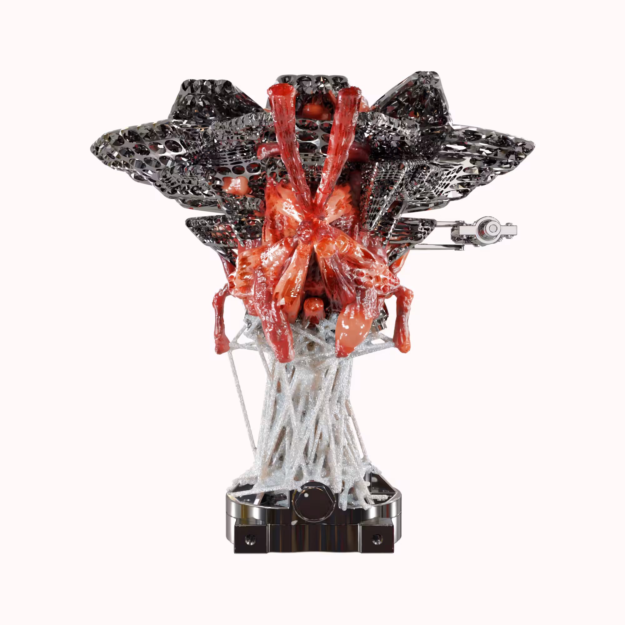 NIXPW TRANSMUTATION 0005