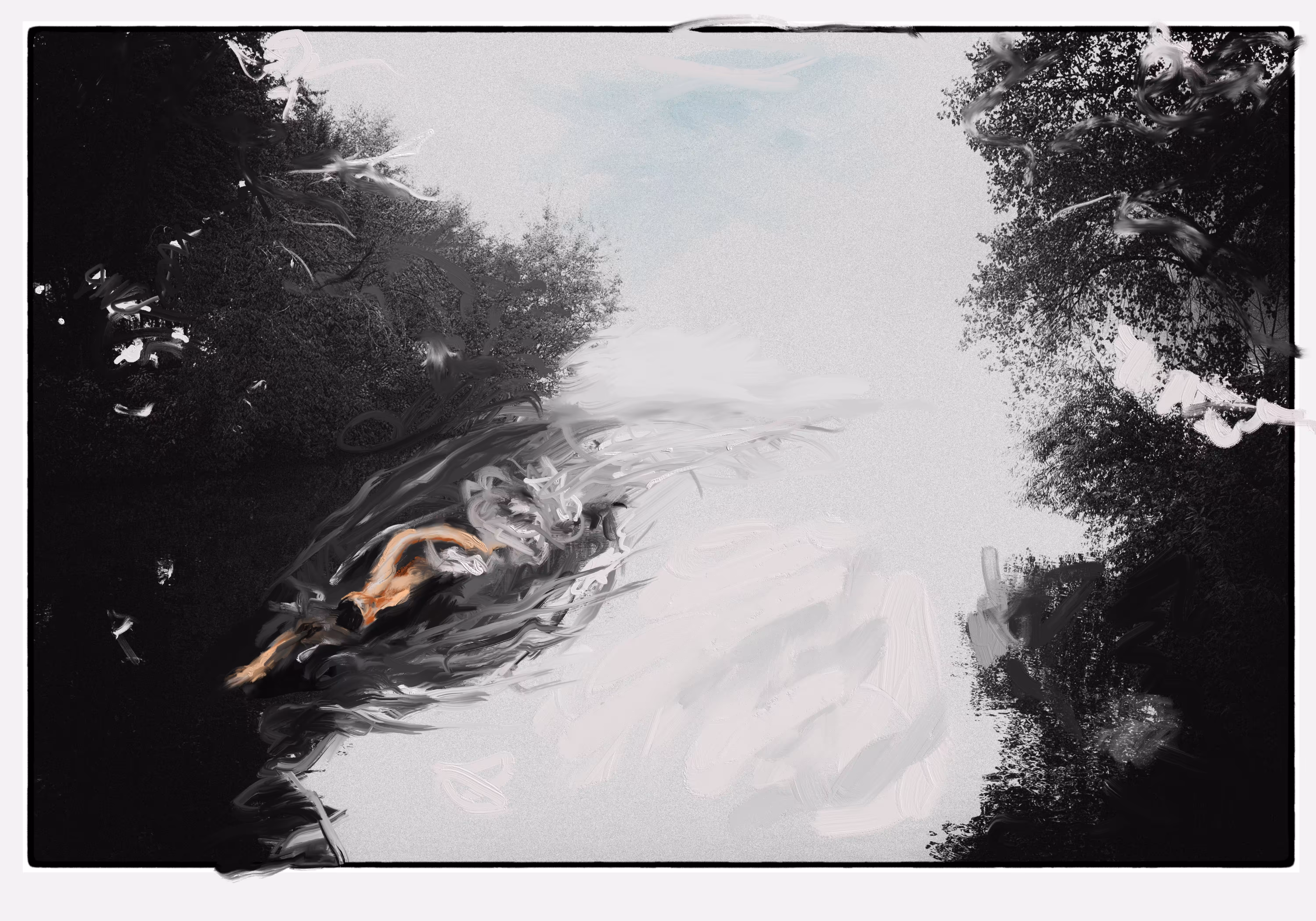 The swimmer