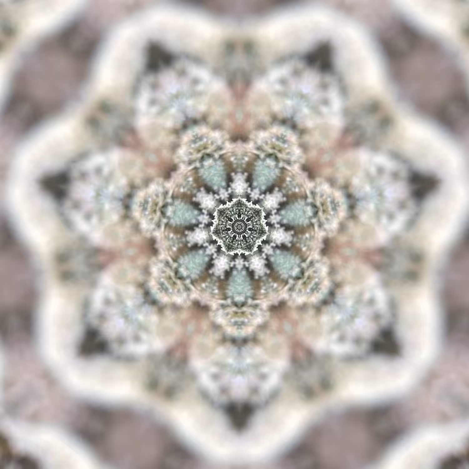 Flower Mandala 11
