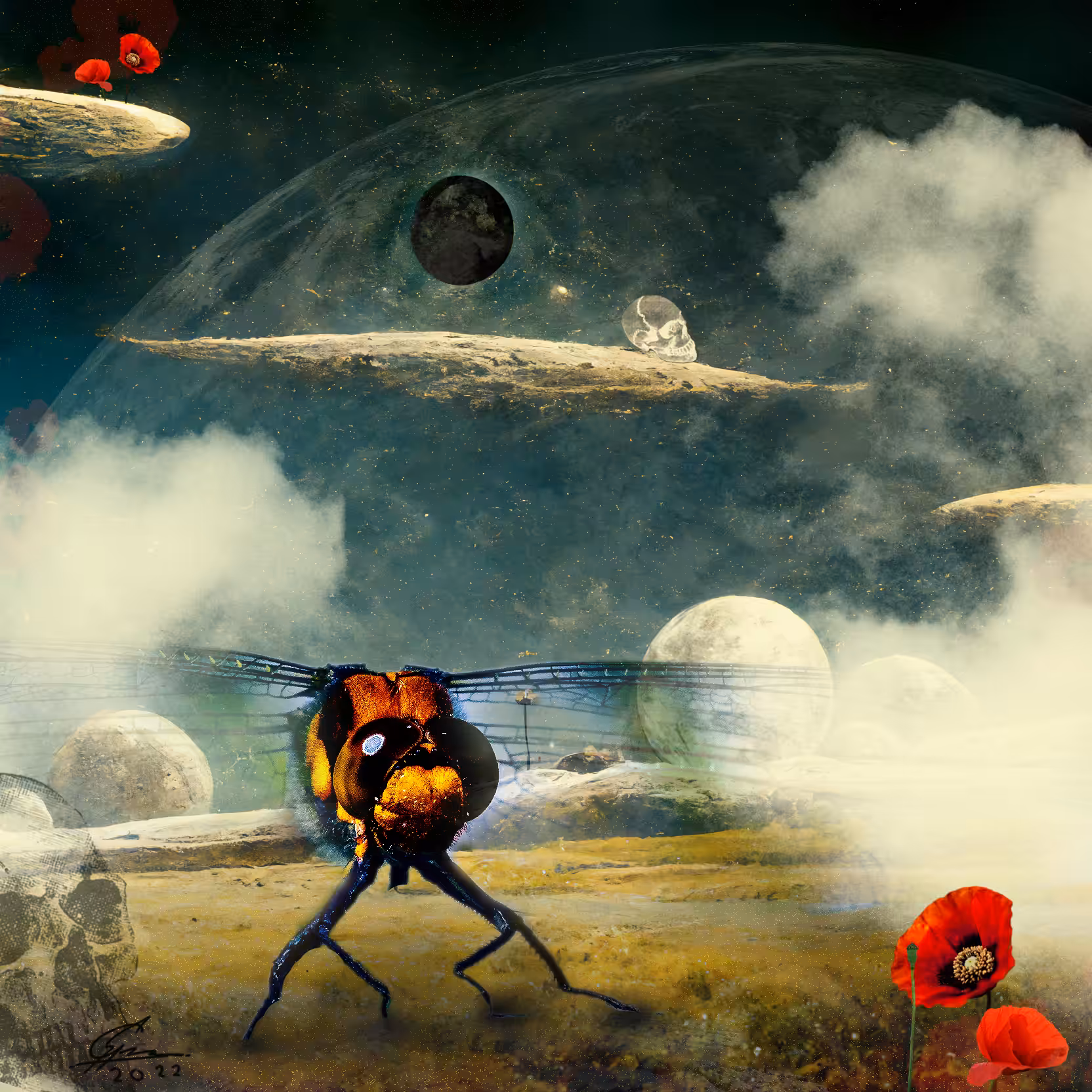 The Enormous Dragonfly