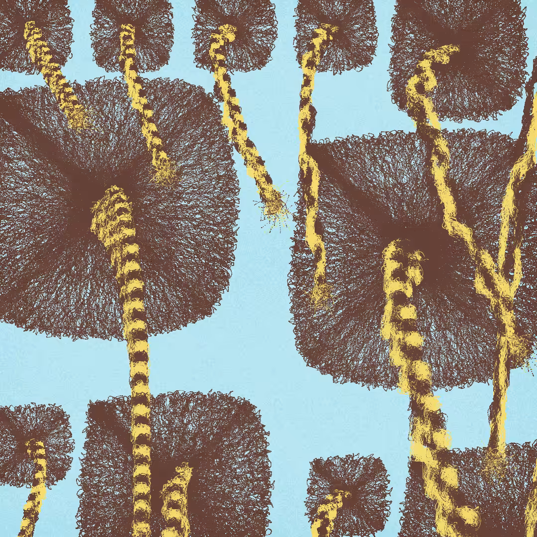 Beauty Supply Is Out of Du-Rags: A Personal Synthesis of Protection and Timeless Style #190