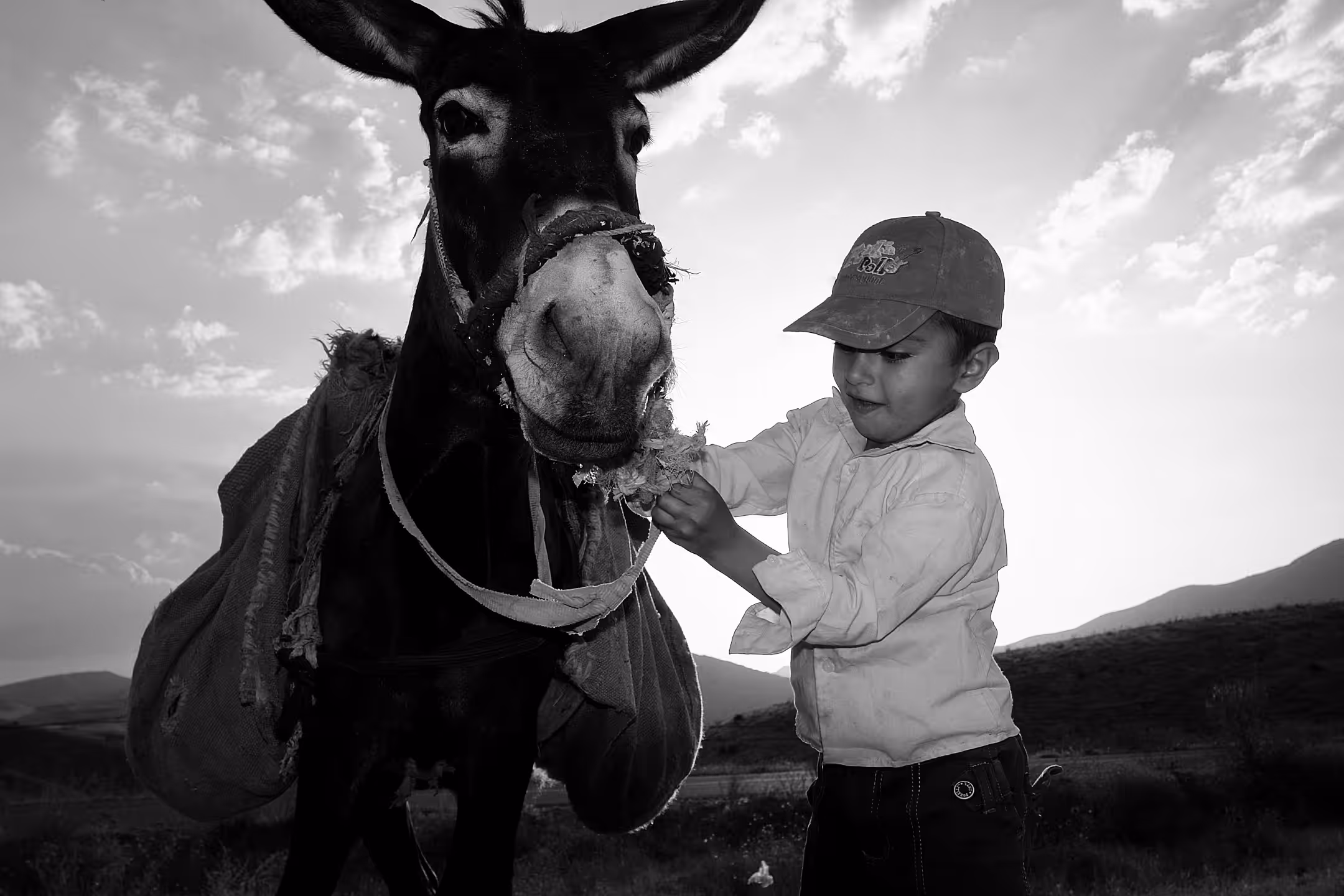 Afshin's childhood