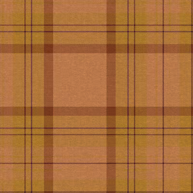 Tartan Cloth #20