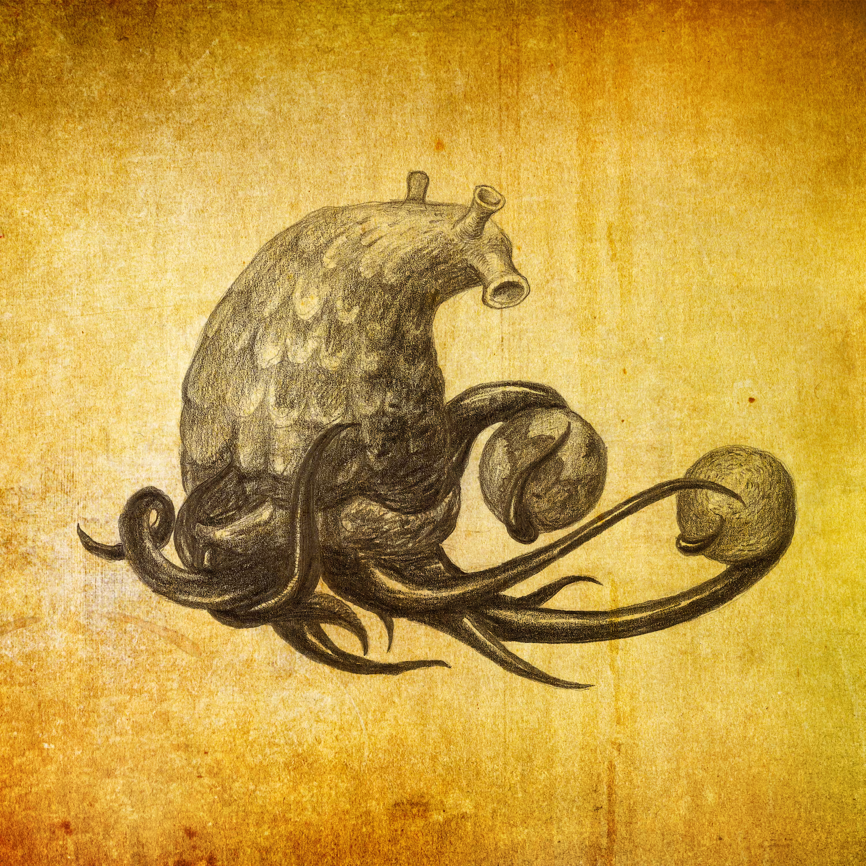 Curious Creature No. 14
