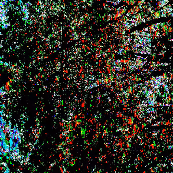 a kiss falling thru the tree