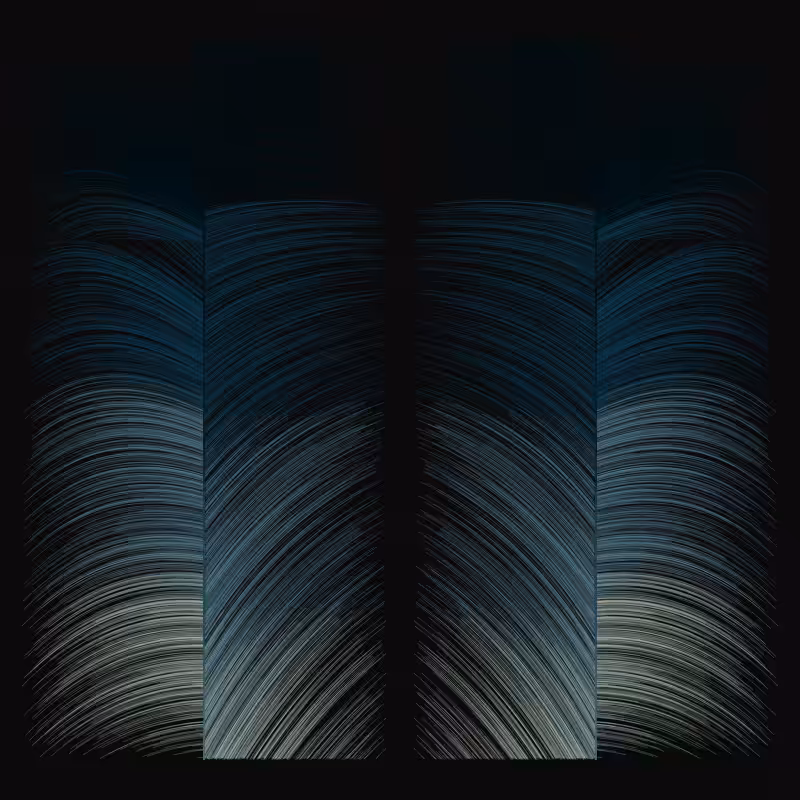 Traces #217