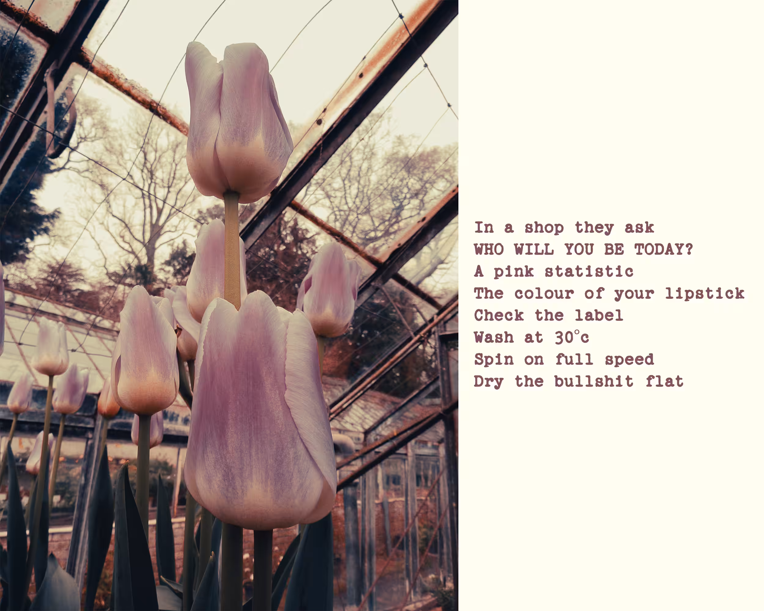 The Colour of Your Lipstick