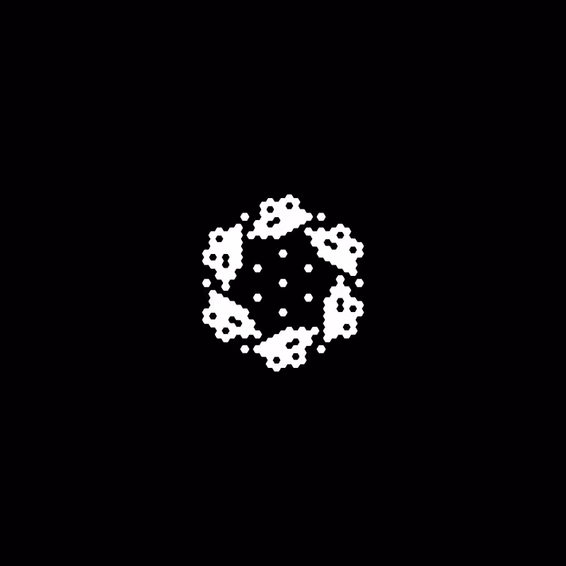 Snowflake #455