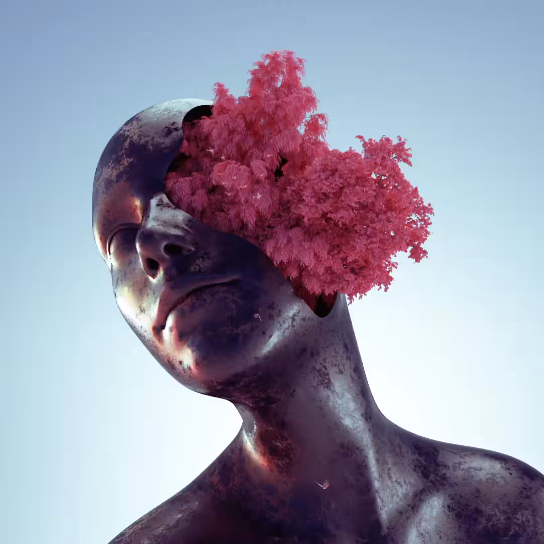 IMAGINARIUM / Nature