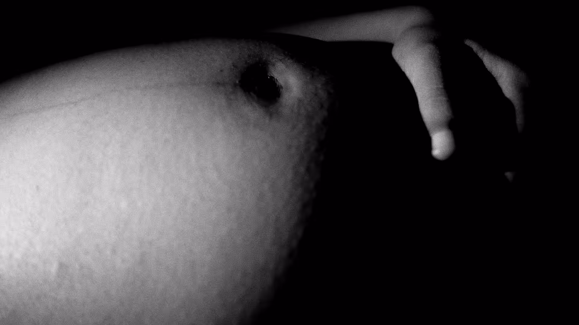 lunar eclipse shower #3