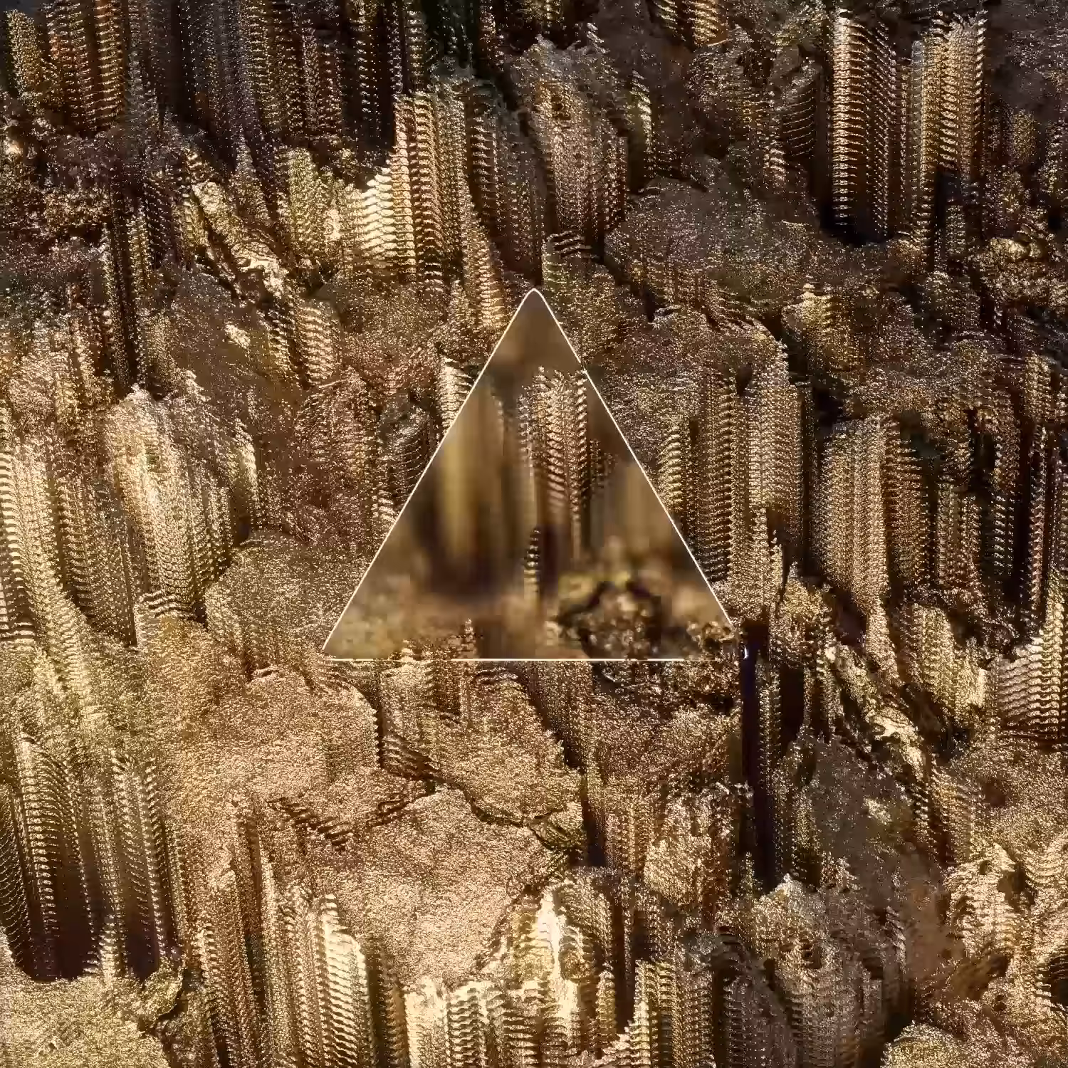 Aurum Distortia