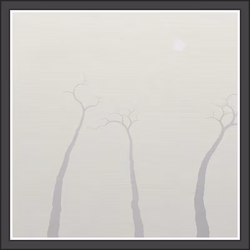 The Foggy Trees #84