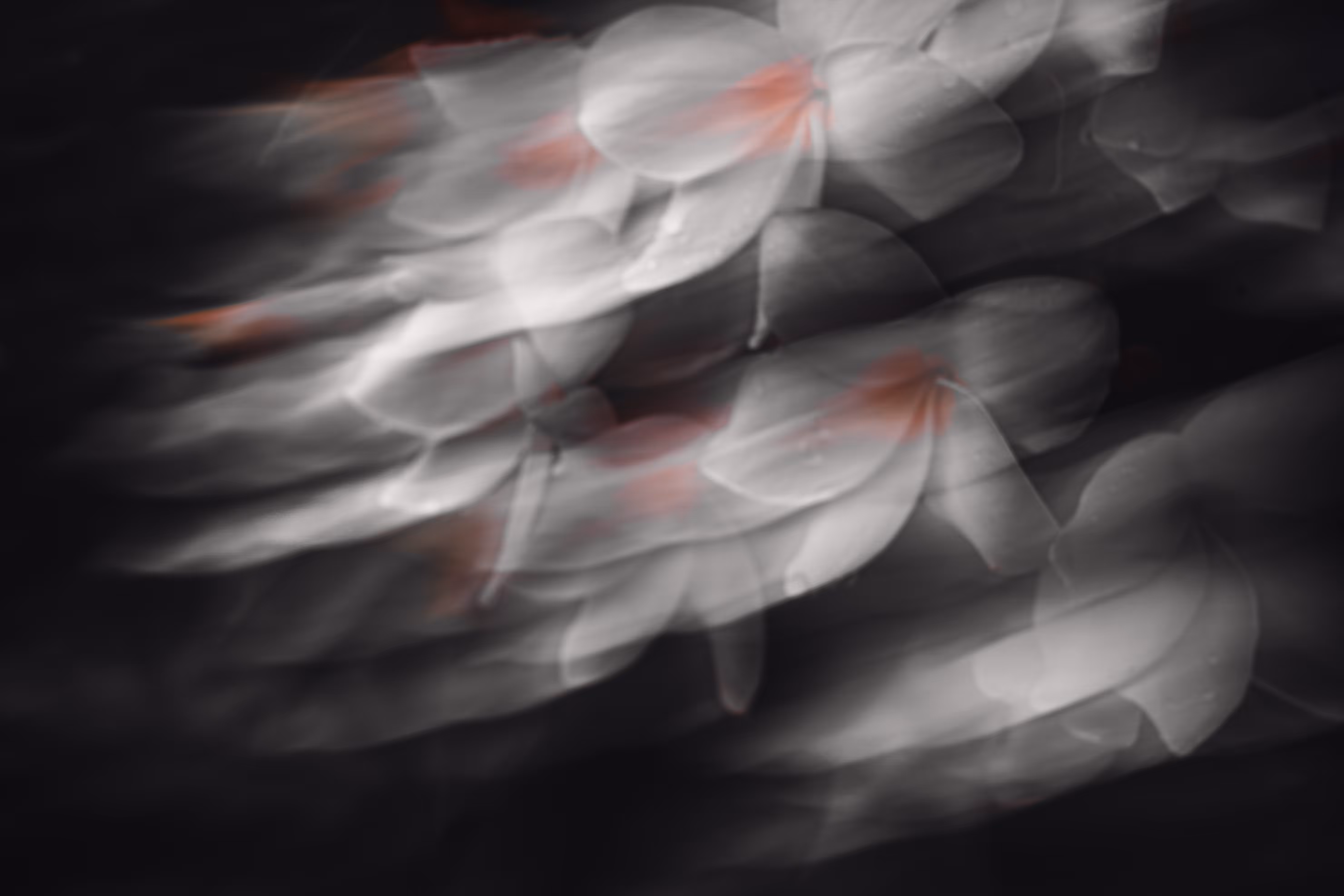 Tropical Evanescence #4