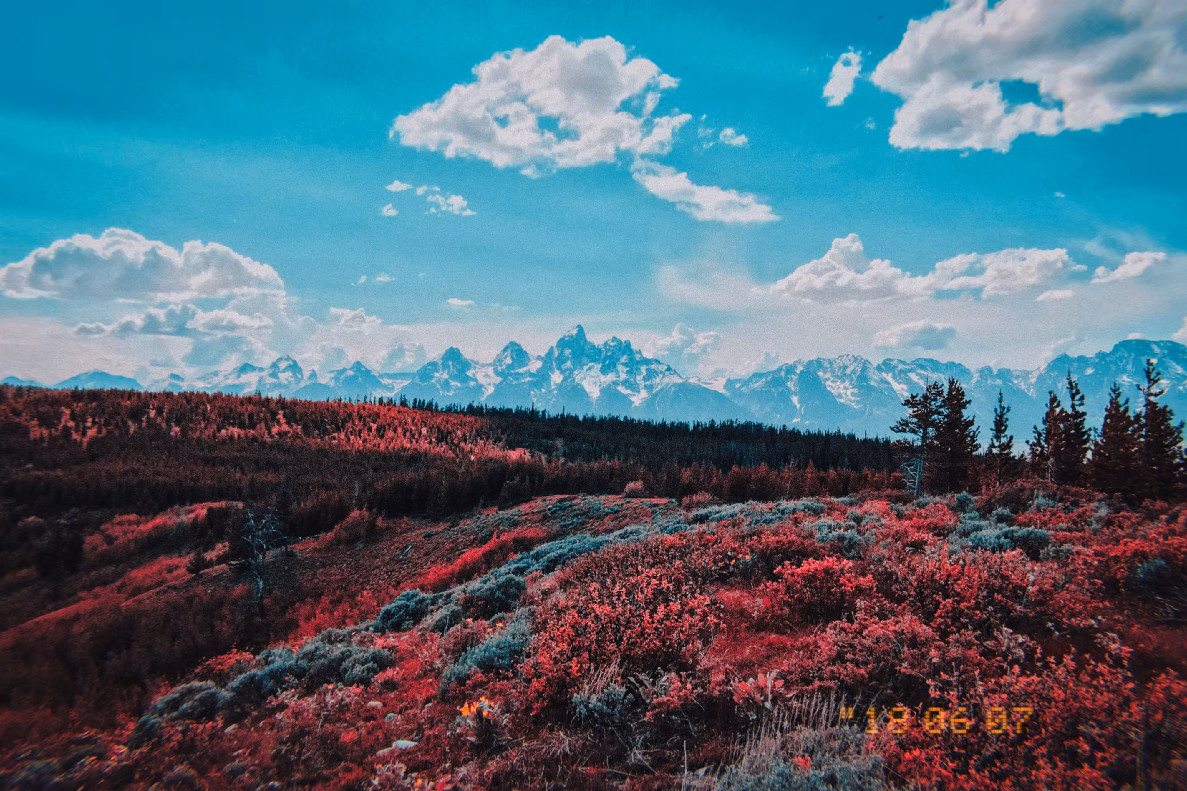 Mountain Majesty