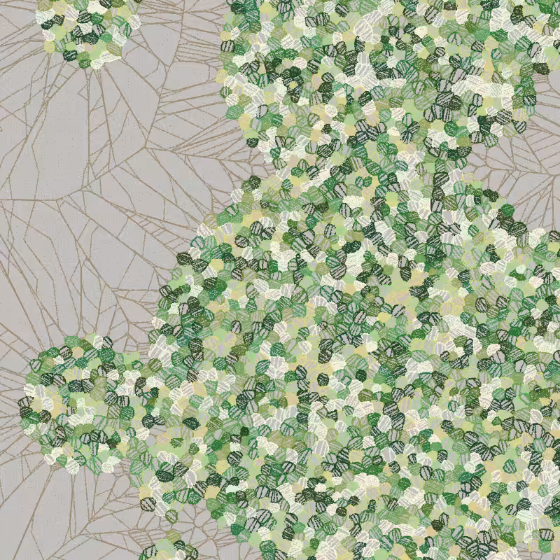 Fractured Cells #223