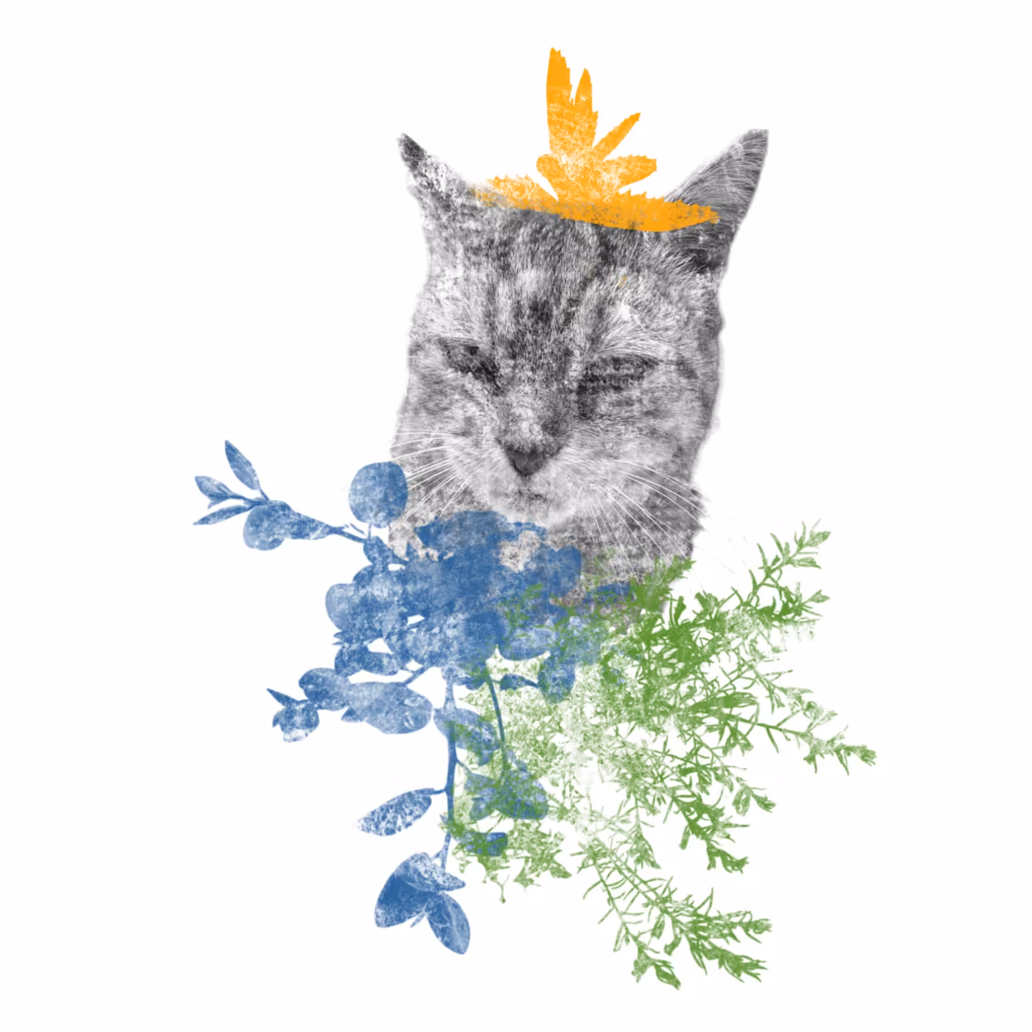 Mama Cat