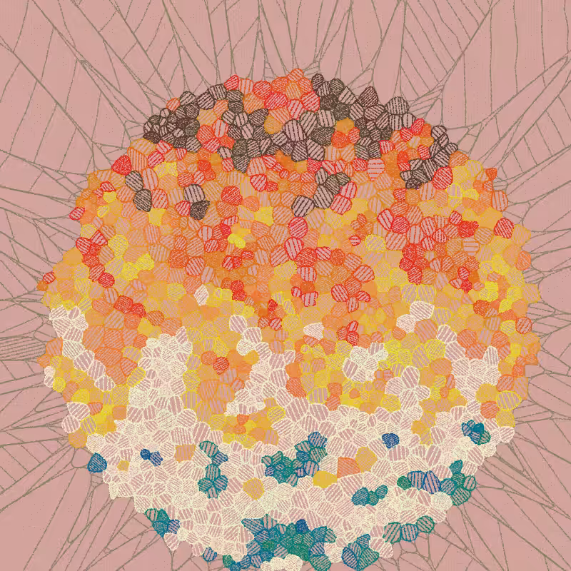 Fractured Cells #209