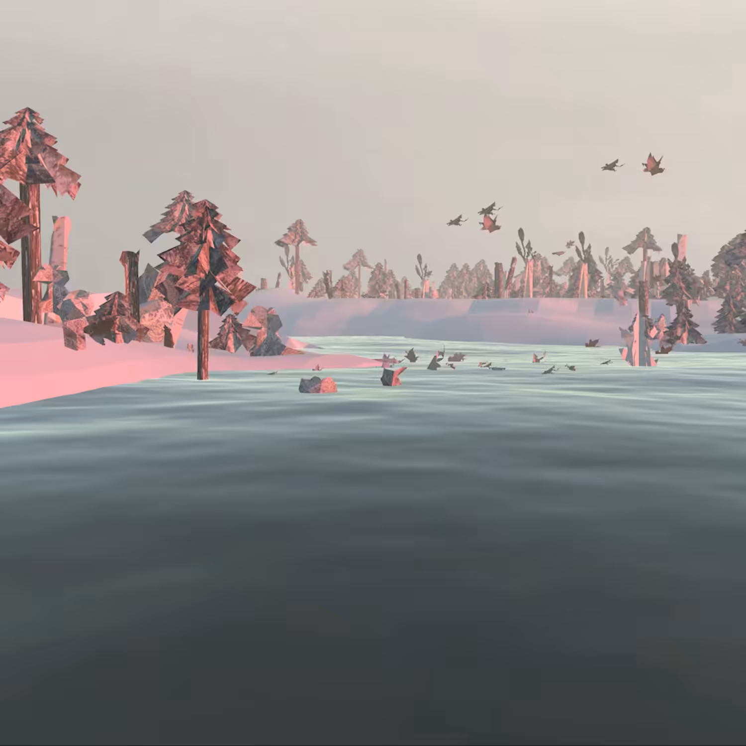 Taiku 24122021 "The Forest of Query"