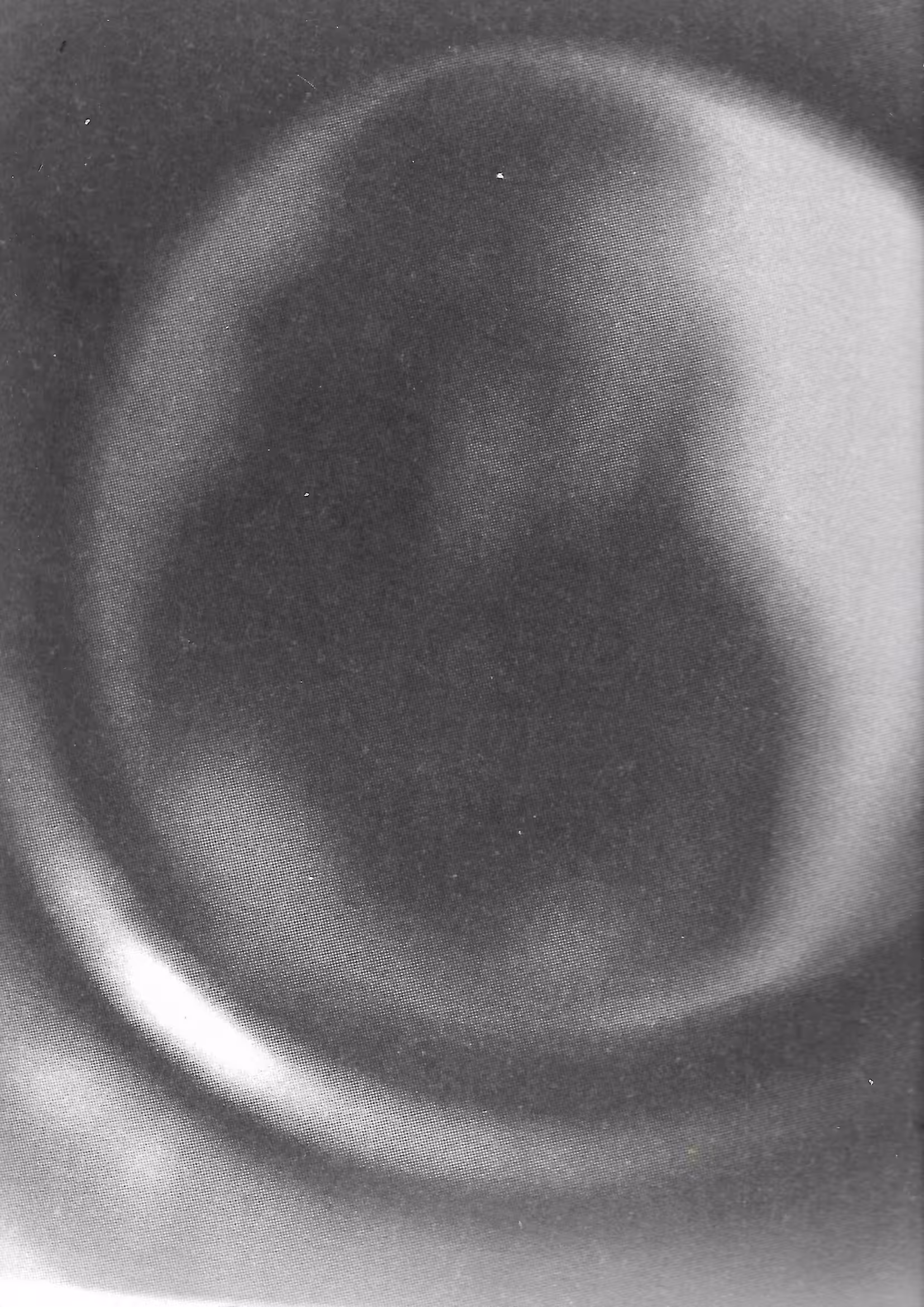 Whispers Through the Veil