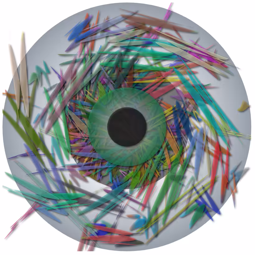 Iris 2 #53