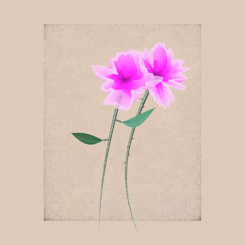 Magnolia #7