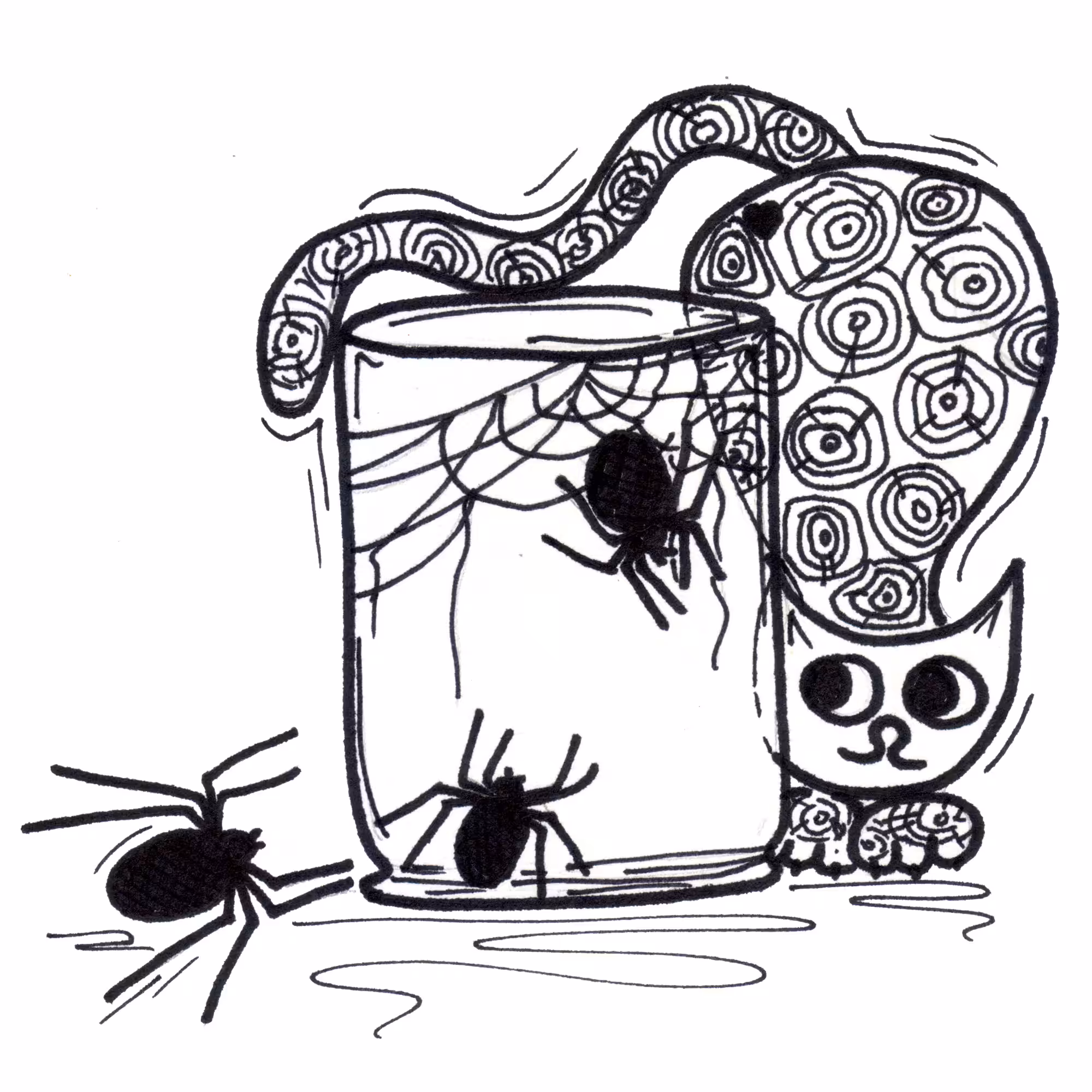 Spiders