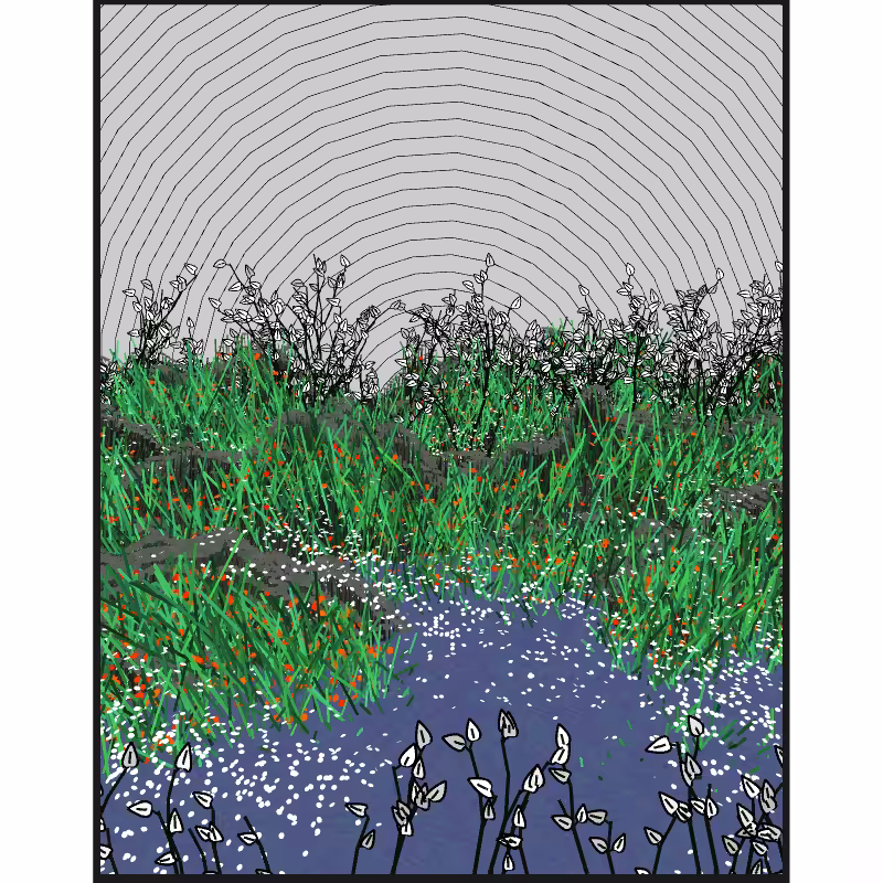 Contours #35