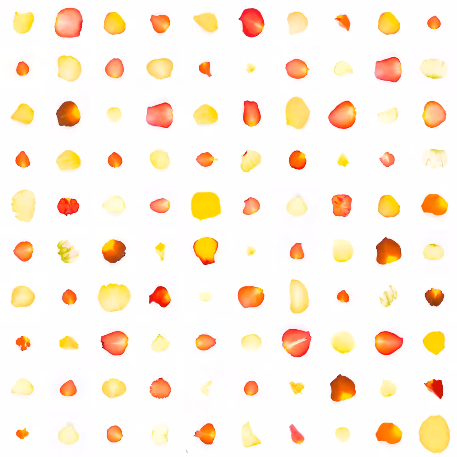 Infinite Petals 10x10#2653
