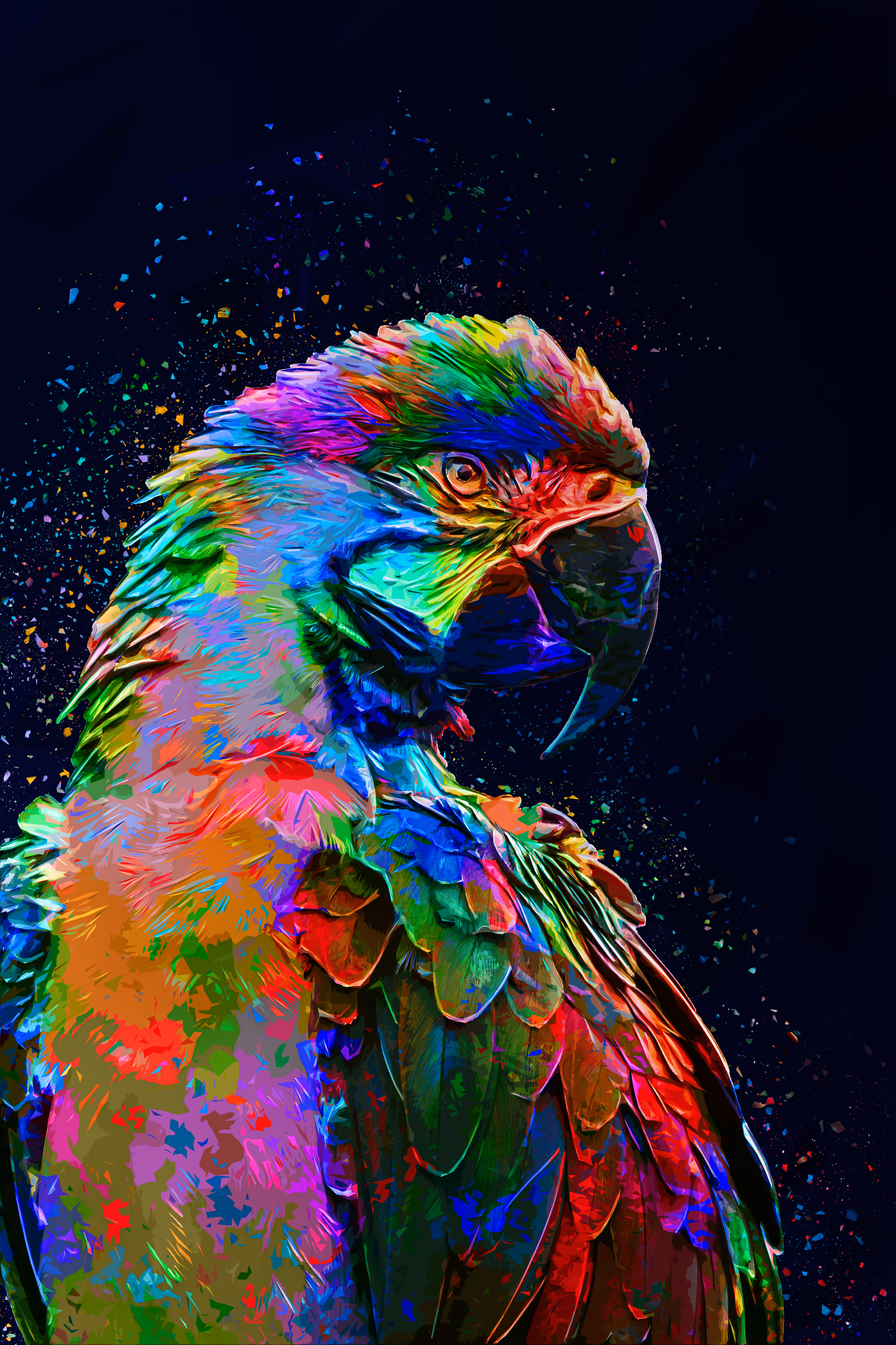 Colored Parrot