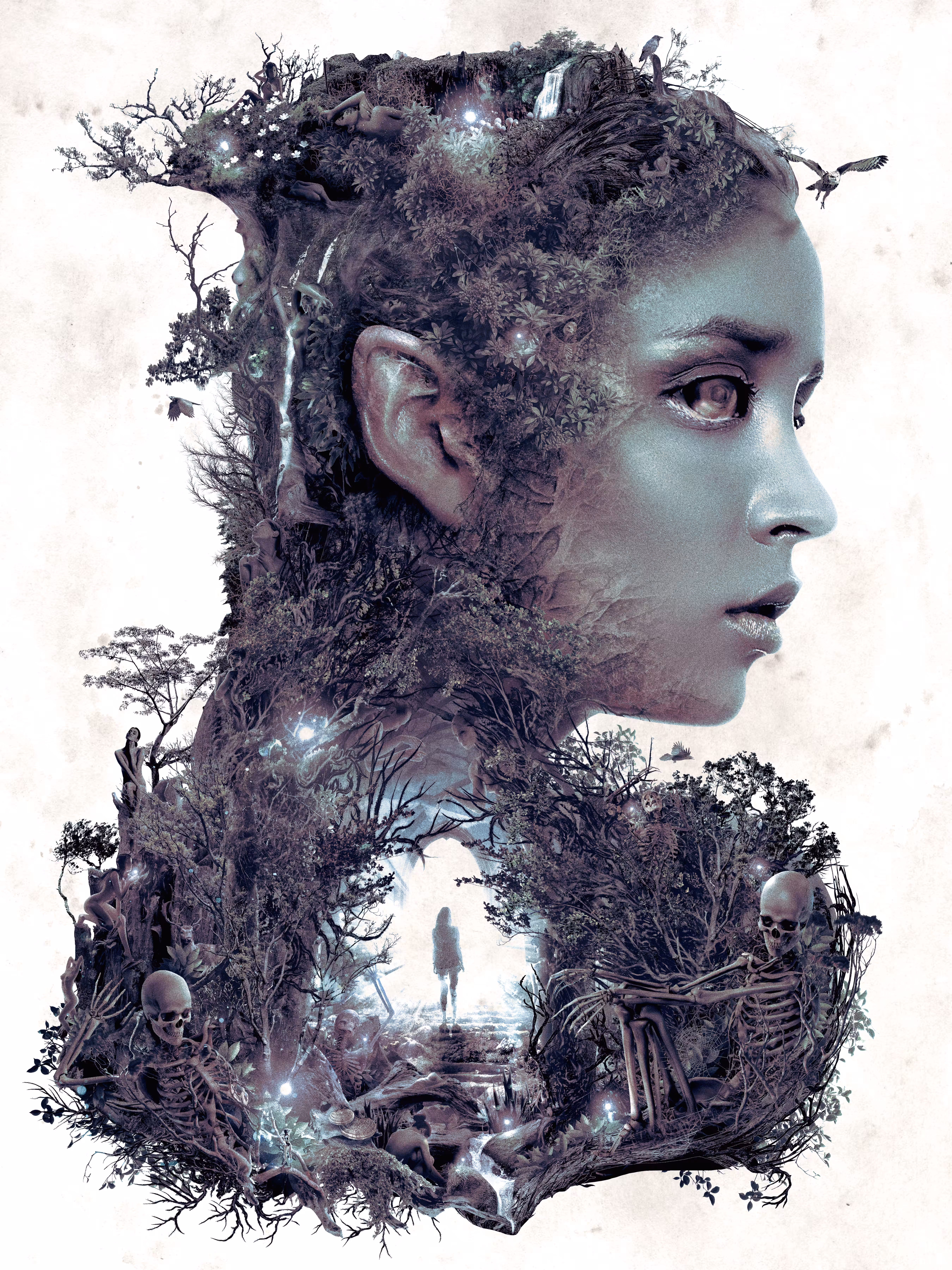 Lady of the Dark Wood