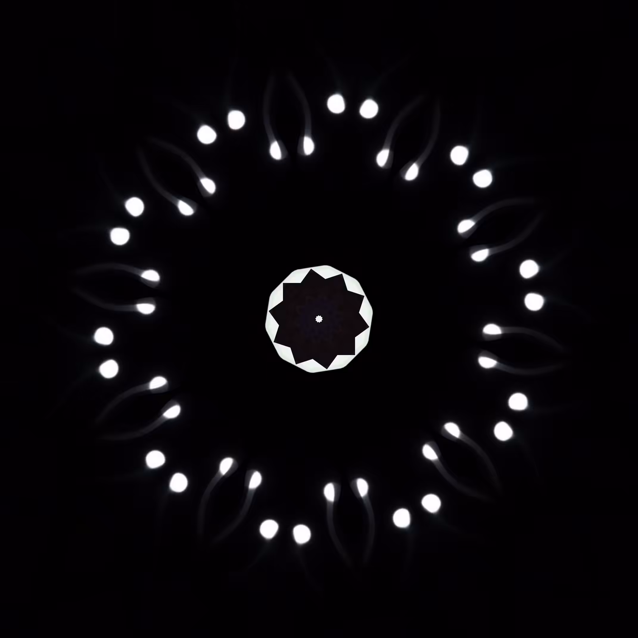 coradiata gate 0.2