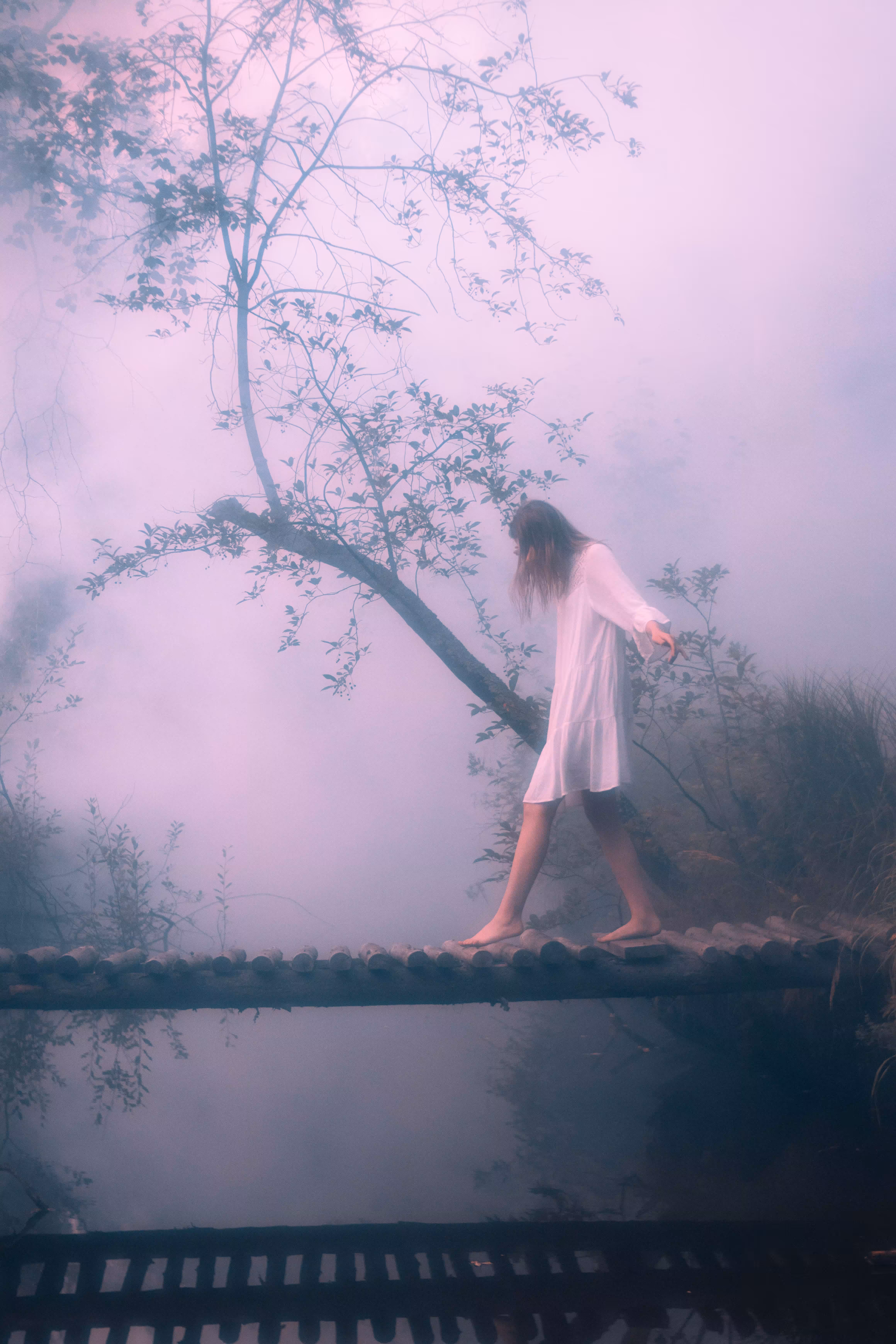 Come To The Forest #02