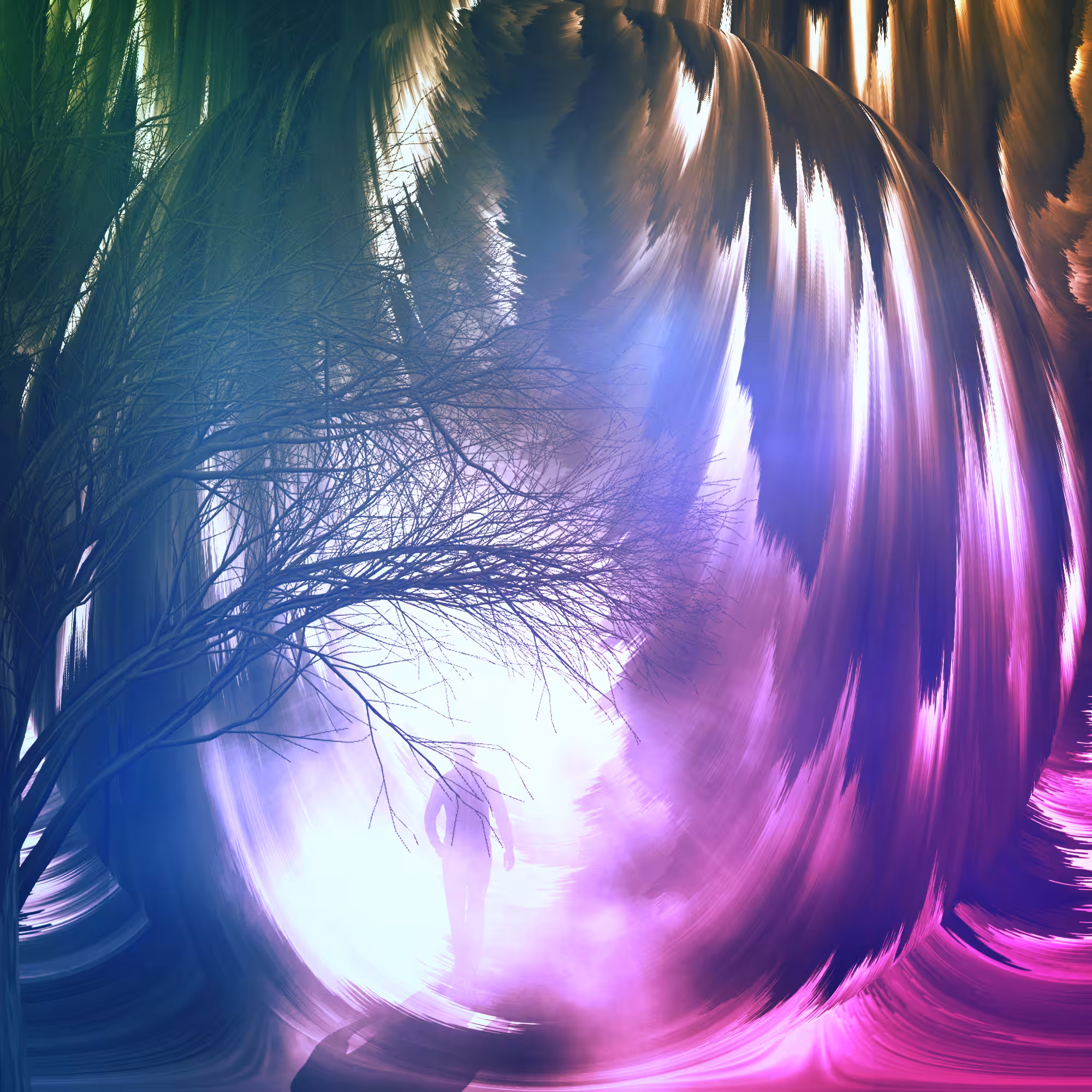 Magical Forest