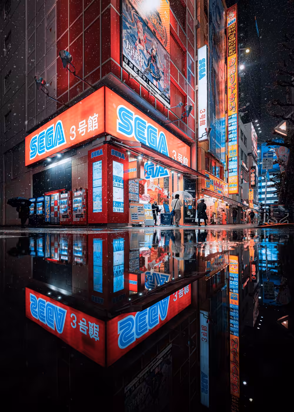 The Game World