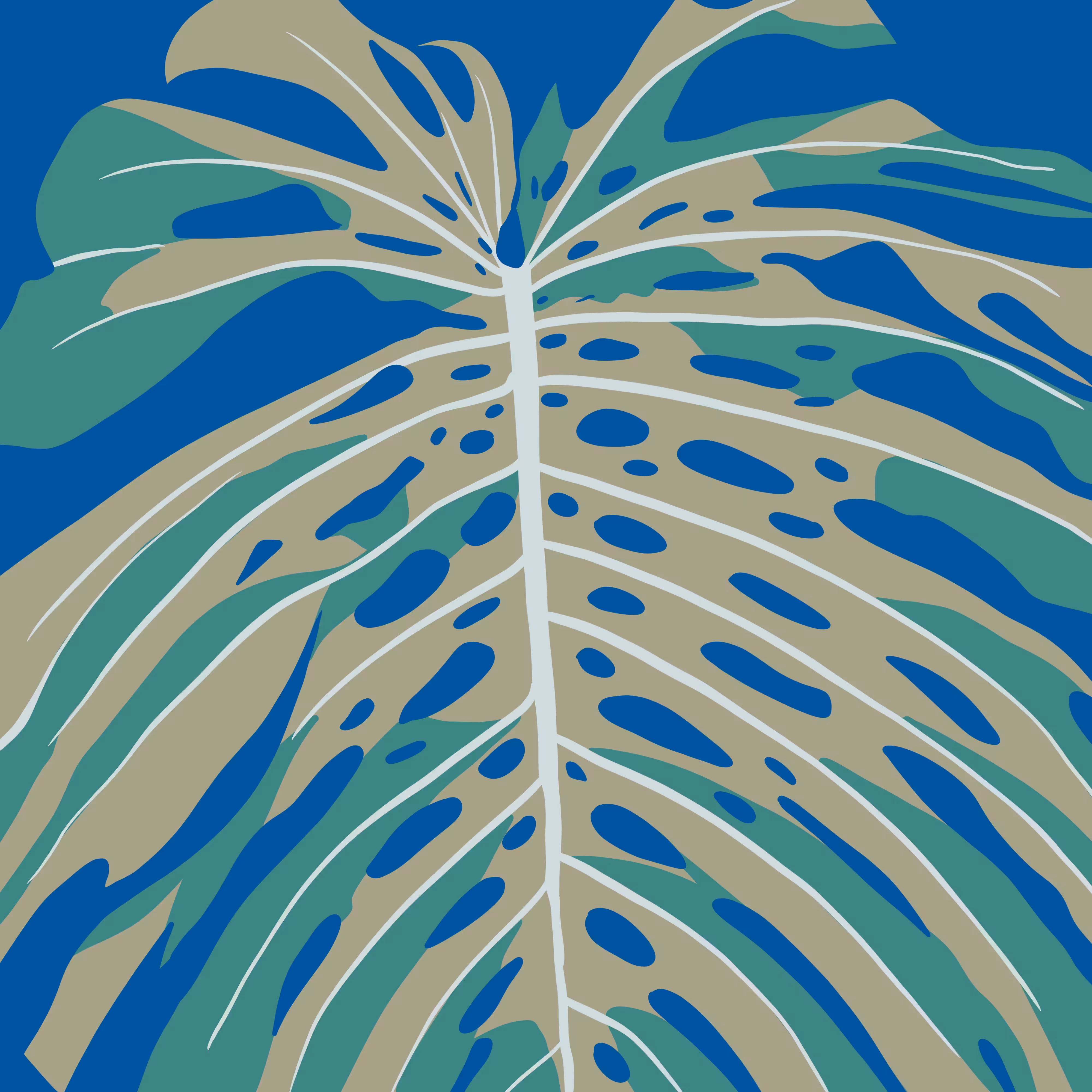 Monstera